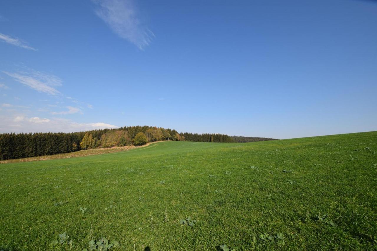 Hotel Landgasthof Wolfsgrund Dorfchemnitz Esterno foto